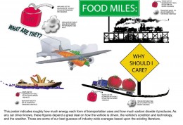 food-miles-transportation-modes
